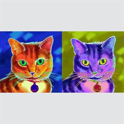 Pop Art 2 Panels from Photos - myDaVinci